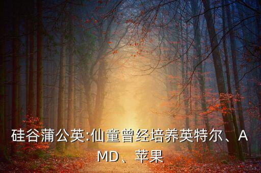 硅谷蒲公英:仙童曾經(jīng)培養(yǎng)英特爾、AMD、蘋果