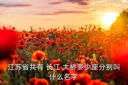 江蘇省共有 長(zhǎng)江 大橋多少座分別叫什么名字