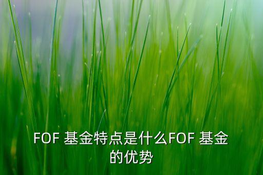 FOF 基金特點(diǎn)是什么FOF 基金的優(yōu)勢(shì)