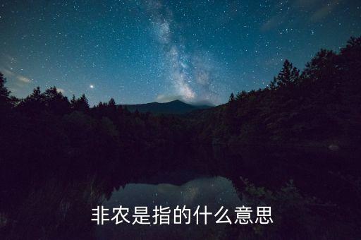  非農是指的什么意思