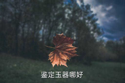 上海文交寶玉石,上海寶玉石協(xié)會(huì)會(huì)長(zhǎng)