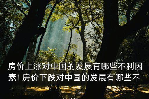  房價(jià)上漲對中國的發(fā)展有哪些不利因素! 房價(jià)下跌對中國的發(fā)展有哪些不...