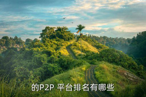 的P2P 平臺(tái)排名有哪些