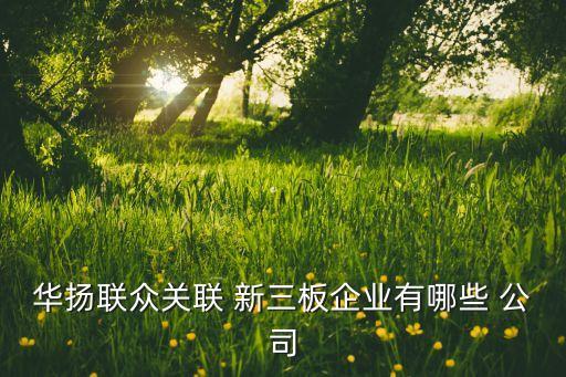 華揚(yáng)聯(lián)眾關(guān)聯(lián) 新三板企業(yè)有哪些 公司