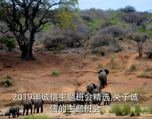 2019年誠(chéng)信主題班會(huì)精選,關(guān)于誠(chéng)信的主題班會(huì)