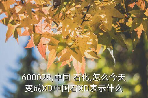 600028,中國(guó) 石化,怎么今天變成XD中國(guó)石XD表示什么