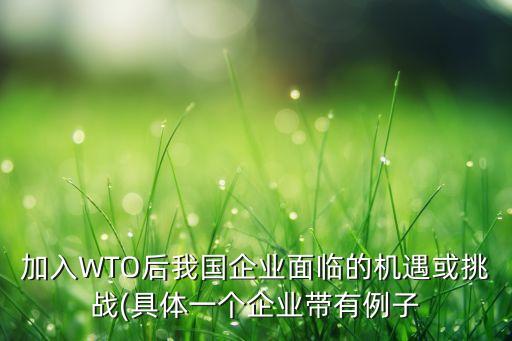 加入WTO后我國(guó)企業(yè)面臨的機(jī)遇或挑戰(zhàn)(具體一個(gè)企業(yè)帶有例子