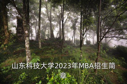 mba中國(guó)企業(yè)案例大賽,湖南省mba案例大賽