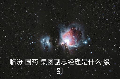 臨汾 國藥 集團副總經(jīng)理是什么 級別