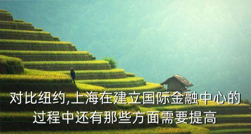 對比紐約,上海在建立國際金融中心的過程中還有那些方面需要提高