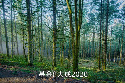 中國基金大成,大成2020基金分紅