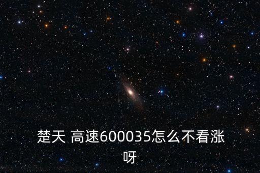  楚天 高速600035怎么不看漲呀