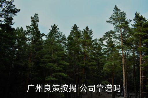 廣州良策按揭 公司靠譜嗎