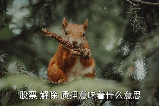  股票 解除 質(zhì)押意味著什么意思