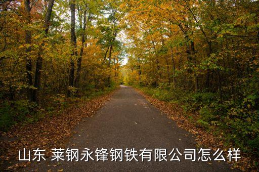 山東 萊鋼永鋒鋼鐵有限公司怎么樣