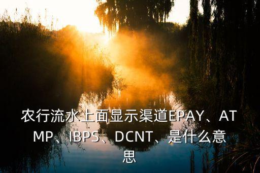 農(nóng)行流水上面顯示渠道EPAY、ATMP、IBPS、DCNT、是什么意思