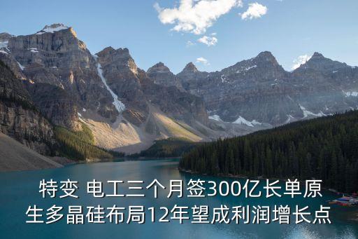  特變 電工三個月簽300億長單原生多晶硅布局12年望成利潤增長點