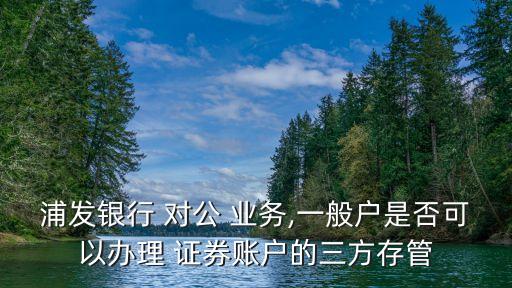 浦發(fā)銀行 對(duì)公 業(yè)務(wù),一般戶是否可以辦理 證券賬戶的三方存管