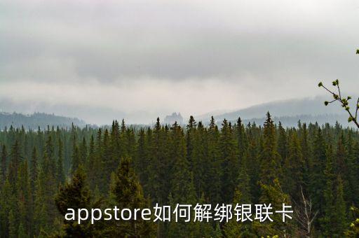 appstore如何解綁銀聯(lián)卡