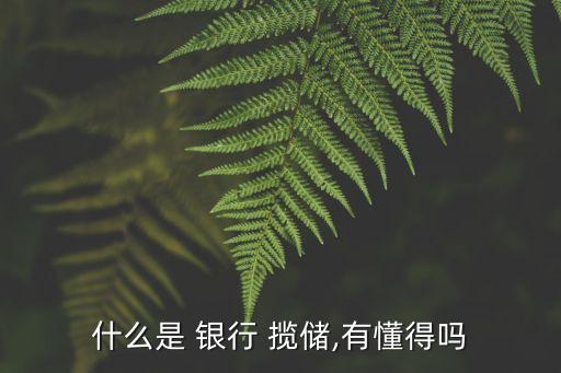 什么是 銀行 攬儲(chǔ),有懂得嗎