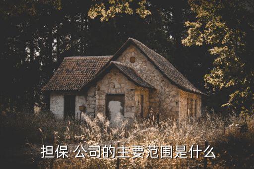  擔(dān)保 公司的主要范圍是什么