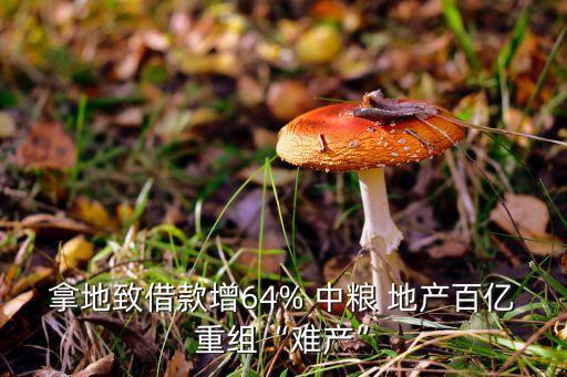 拿地致借款增64% 中糧 地產(chǎn)百億重組“難產(chǎn)”