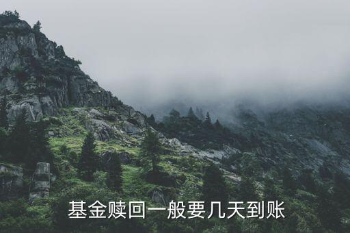 場(chǎng)內(nèi)基金到賬時(shí)間,場(chǎng)內(nèi)贖回基金要幾天資金到賬