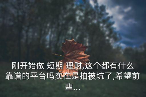 剛開始做 短期 理財,這個都有什么靠譜的平臺嗎實(shí)在是拍被坑了,希望前輩...