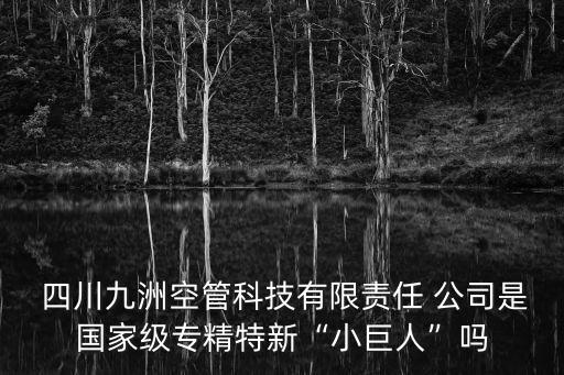  四川九洲空管科技有限責(zé)任 公司是國(guó)家級(jí)專精特新“小巨人”嗎