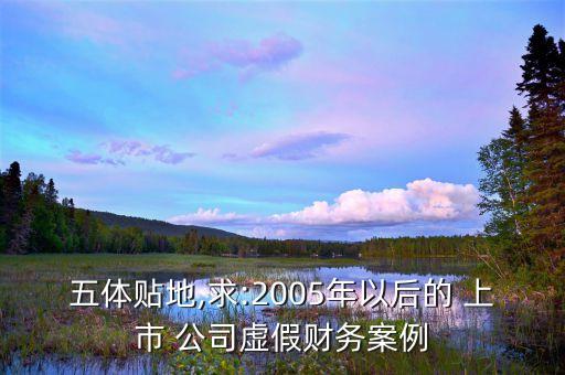 五體貼地,求:2005年以后的 上市 公司虛假財(cái)務(wù)案例