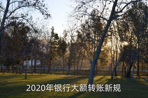 人民銀行支付清算窗口,2023年人民銀行支付清算系統(tǒng)維護