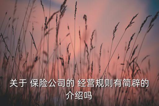 關(guān)于 保險(xiǎn)公司的 經(jīng)營(yíng)規(guī)則有簡(jiǎn)辟的介紹嗎