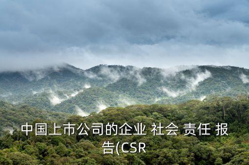 中國上市公司的企業(yè) 社會 責任 報告(CSR