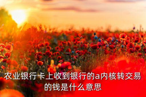 農(nóng)業(yè)銀行卡上收到銀行的a內(nèi)核轉(zhuǎn)交易的錢(qián)是什么意思