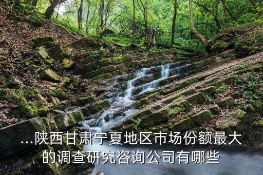 譽(yù)滿國(guó)際控股有限公司,北京能源國(guó)際控股有限公司