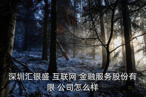 深圳匯銀盛 互聯(lián)網(wǎng) 金融服務股份有限 公司怎么樣