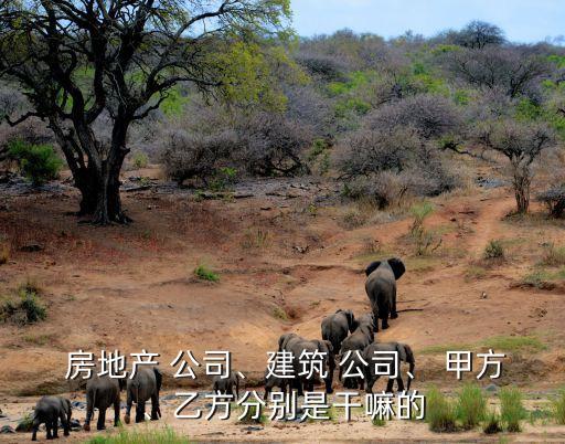  房地產(chǎn) 公司、建筑 公司、 甲方、乙方分別是干嘛的