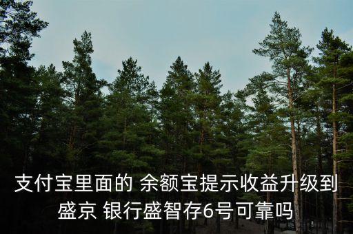 支付寶里面的 余額寶提示收益升級(jí)到盛京 銀行盛智存6號(hào)可靠嗎