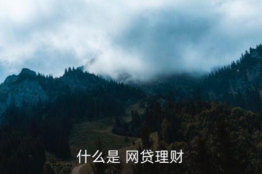 什么是 網(wǎng)貸理財