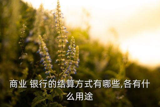 商業(yè) 銀行的結(jié)算方式有哪些,各有什么用途