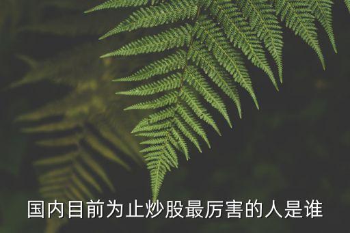 中國(guó)股票第一人,股票一人多戶