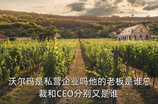  沃爾瑪是私營企業(yè)嗎他的老板是誰總裁和CEO分別又是誰