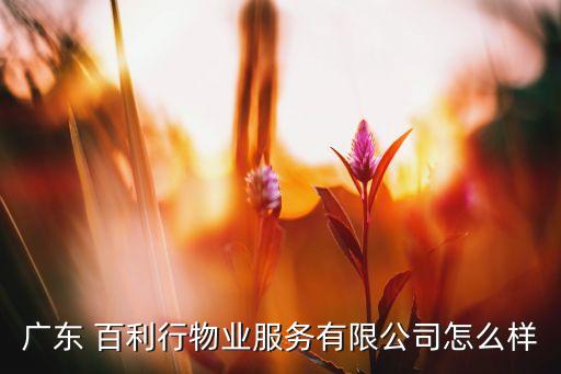 廣東 百利行物業(yè)服務有限公司怎么樣