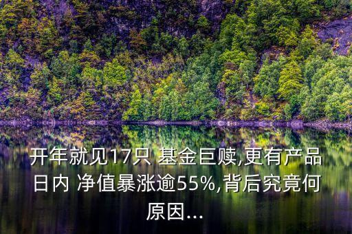 開年就見17只 基金巨贖,更有產品日內 凈值暴漲逾55%,背后究竟何原因...