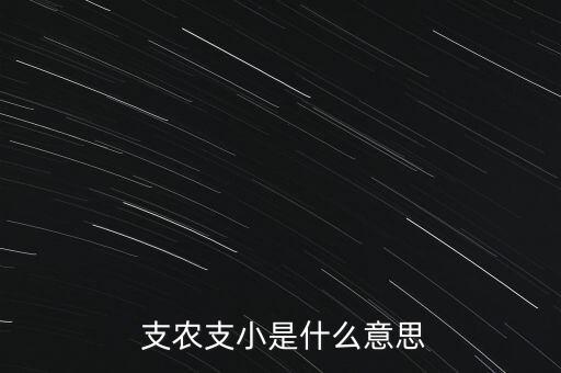  支農(nóng)支小是什么意思