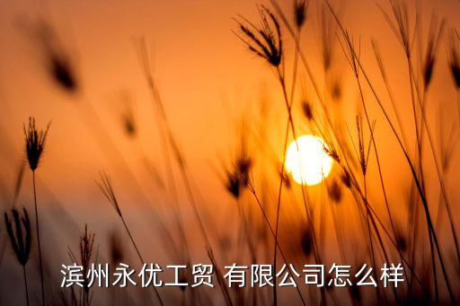  濱州永優(yōu)工貿(mào) 有限公司怎么樣