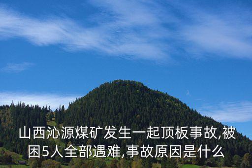  山西沁源煤礦發(fā)生一起頂板事故,被困5人全部遇難,事故原因是什么