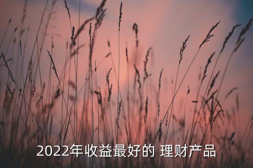 2022年收益最好的 理財產(chǎn)品