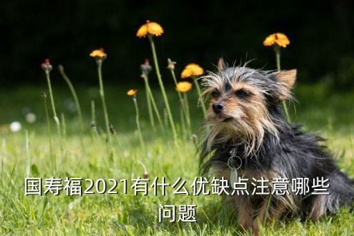 國壽福2021有什么優(yōu)缺點(diǎn)注意哪些問題