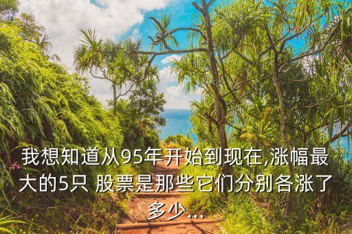 我想知道從95年開始到現(xiàn)在,漲幅最大的5只 股票是那些它們分別各漲了多少...